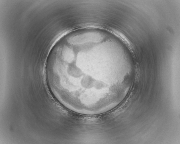 X0000115451190200912020959