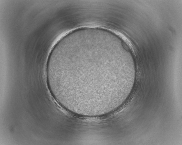 X0000115451191200912020959