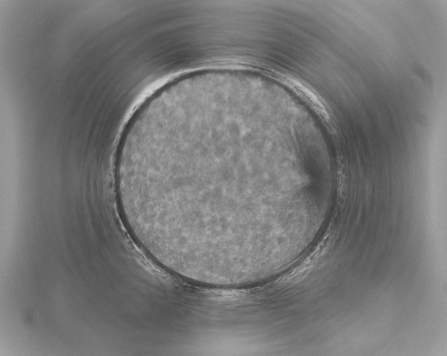 X0000115451192200912020959