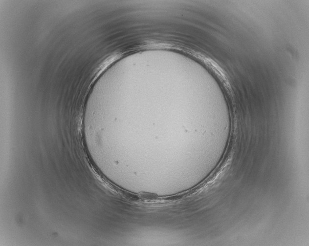 X0000115451193200912020959