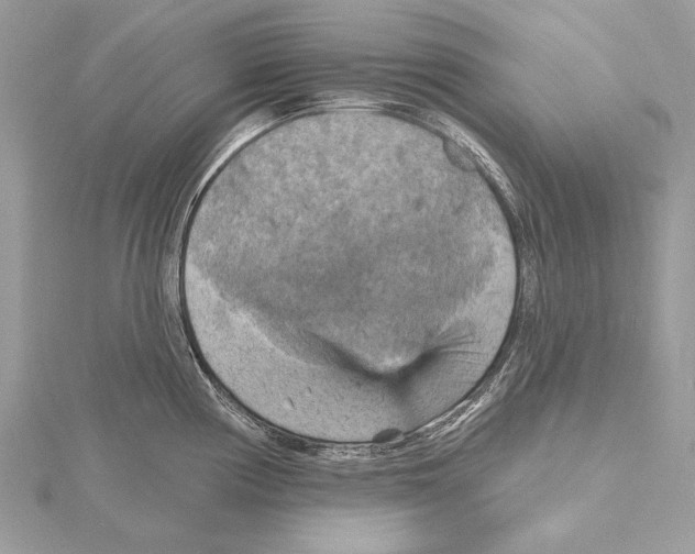 X0000115451194200912020959