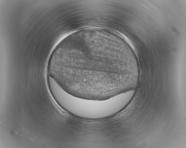 X0000115451195200912020959