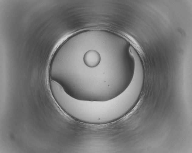 X0000115451196200912020959