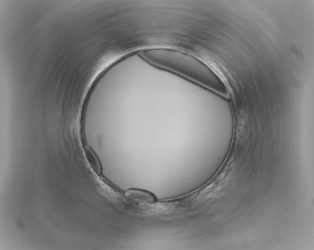 X0000115451197200912020959