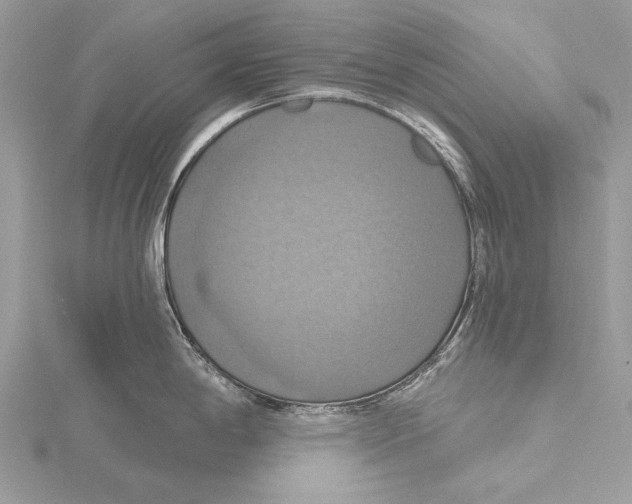 X0000115451198200912020959