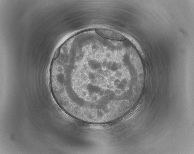 X0000115451199200912020959