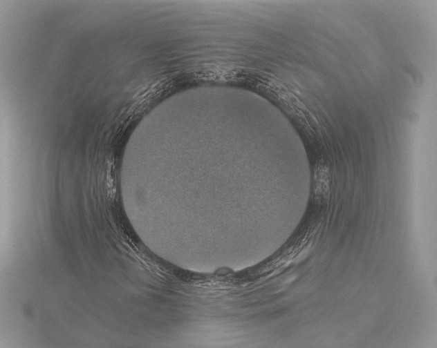 X0000115451202200912020958