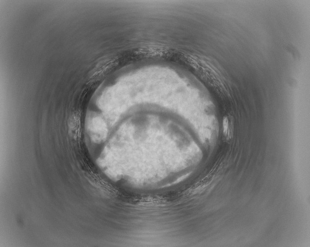 X0000115451203200912020958