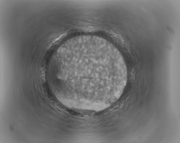 X0000115451205200912020958