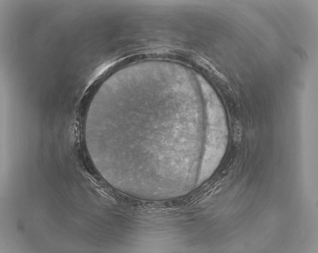 X0000115451208200912020958