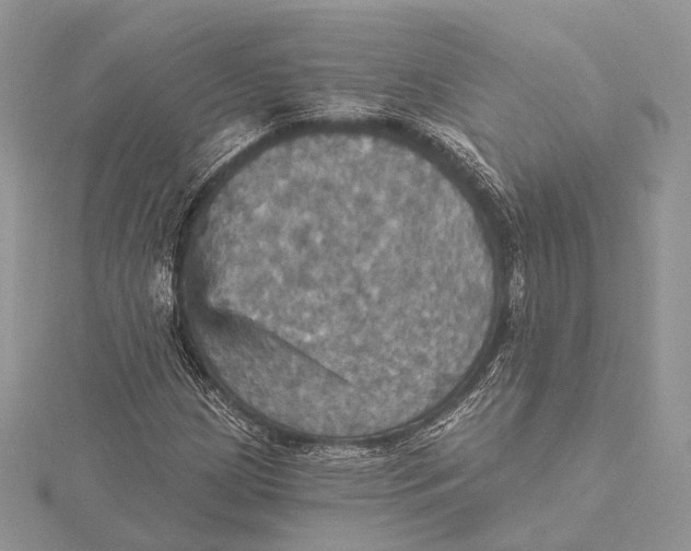 X0000115451209200912020958