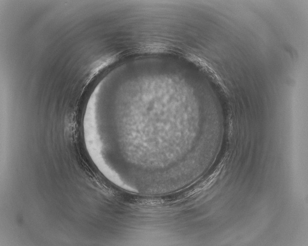 X0000115451210200912020958