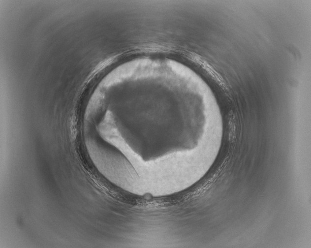 X0000115451213200912020959