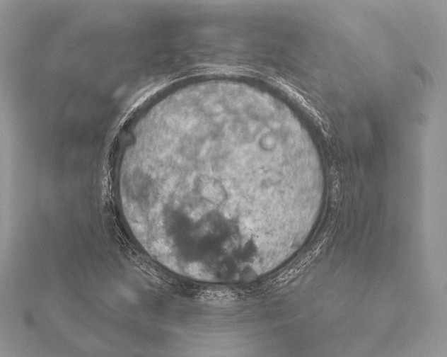 X0000115451215200912020959