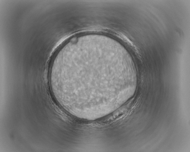 X0000115451216200912020959