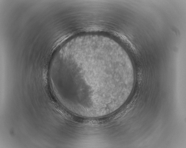 X0000115451217200912020959