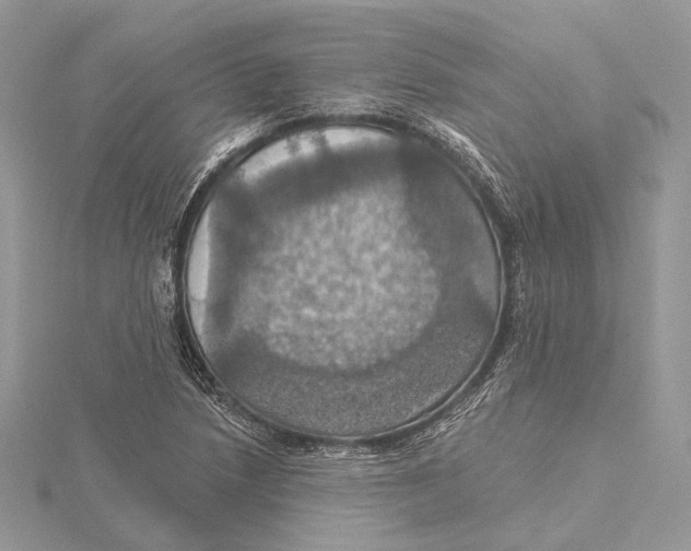 X0000115451218200912020959