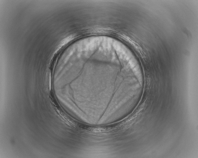 X0000115451219200912020959