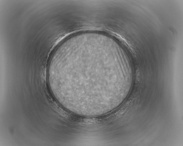 X0000115451220200912020959