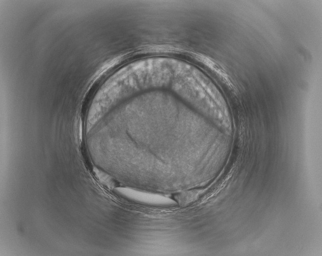 X0000115451221200912020959