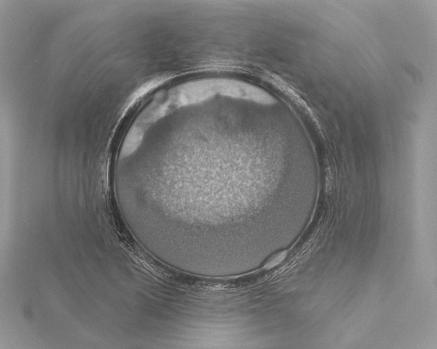 X0000115451222200912020959