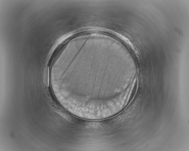 X0000115451223200912020959