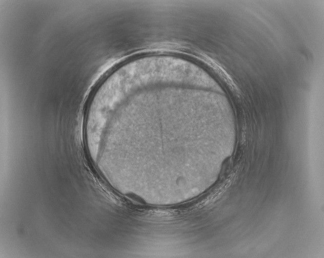 X0000115451224200912020959