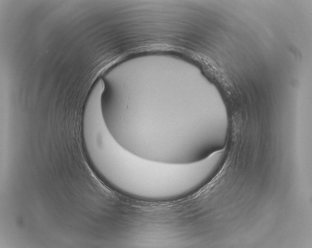 X0000115451225200912020959