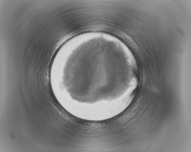 X0000115451226200912020959