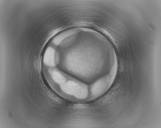 X0000115451227200912020959