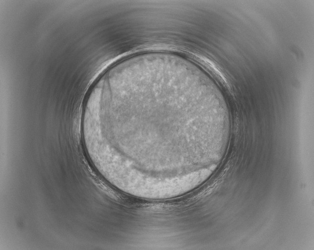 X0000115451228200912020959