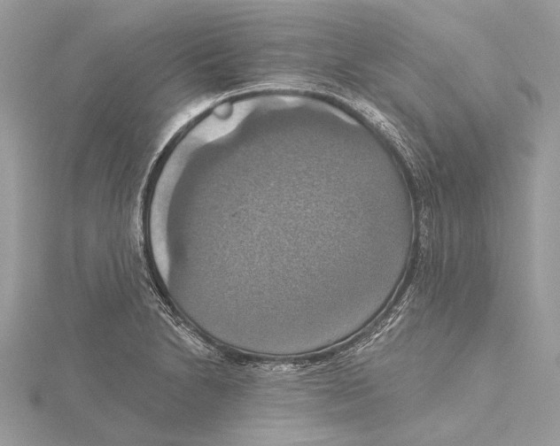 X0000115451230200912020959