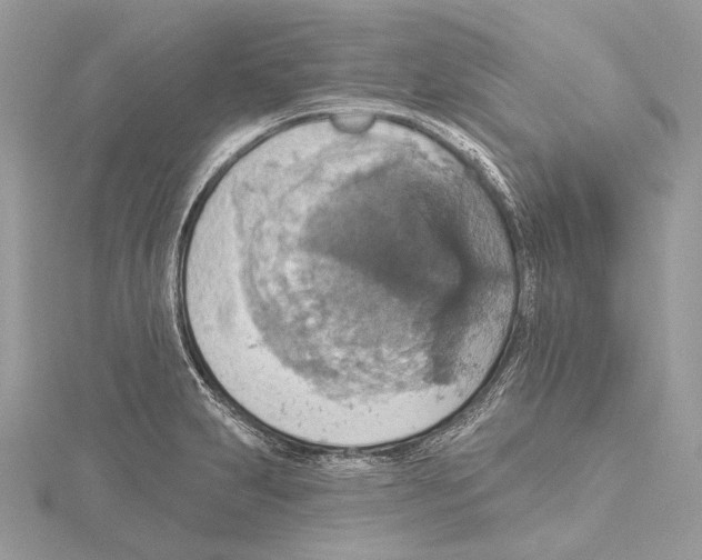 X0000115451231200912020959