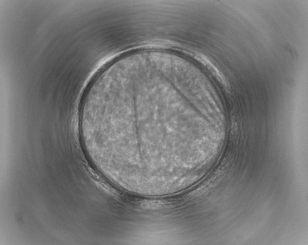 X0000115451232200912020959