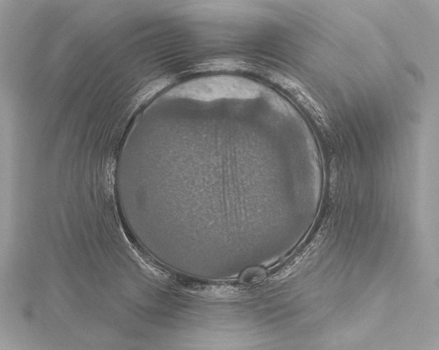 X0000115451233200912020959