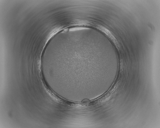 X0000115451234200912020959