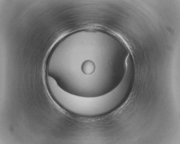 X0000115451235200912020959