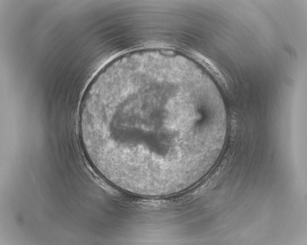 X0000115451236200912020959