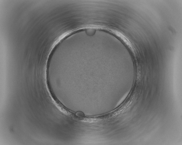 X0000115451237200912020959