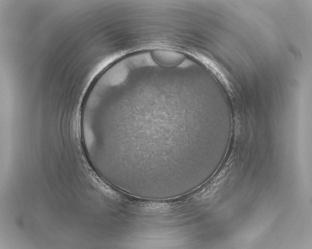 X0000115451238200912020959