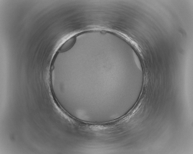 X0000115451239200912020959