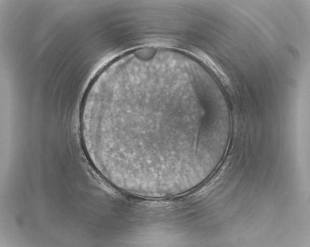 X0000115451240200912020959