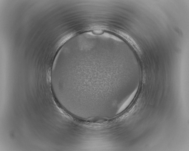 X0000115451241200912020959