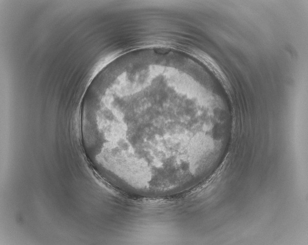 X0000115451242200912020959