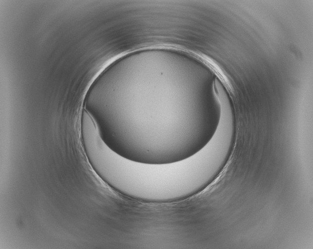 X0000115451244200912020959