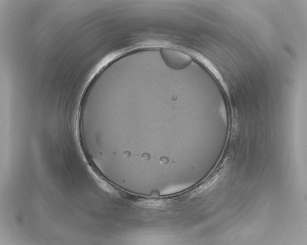 X0000115451245200912020959