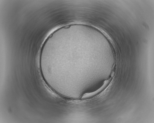 X0000115451246200912020959