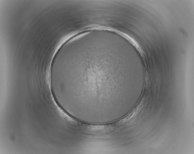 X0000115451247200912020959