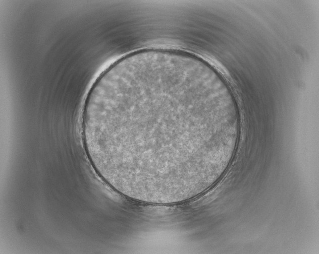 X0000115451248200912020959