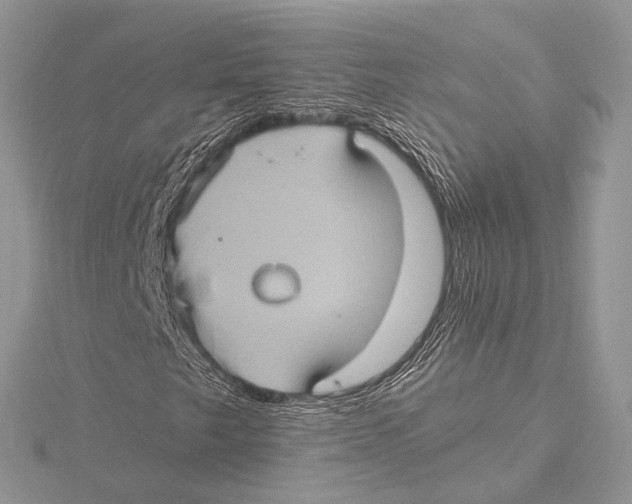 X0000115451249200912020958